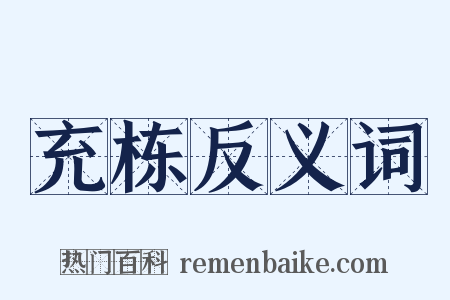 充栋反义词是什么意思的图片